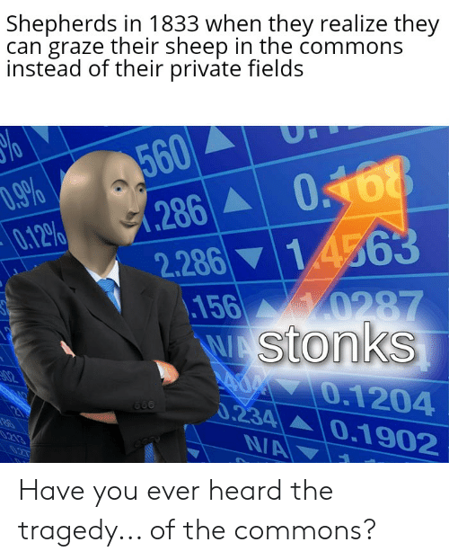 Stonks