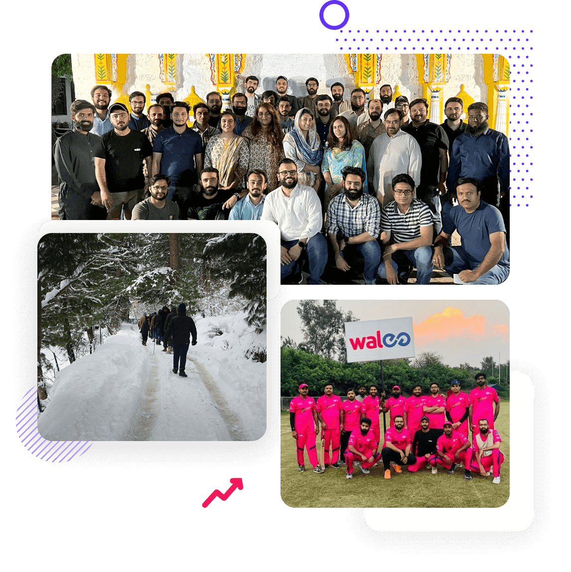 Career at Walee