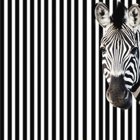 HOW TO MAKE YOUR CONTENT WORK COMMERCIALLY